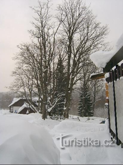 Vista al este: lago Prášilské y Poledník Prášily - siga la carretera roja a Prášilské