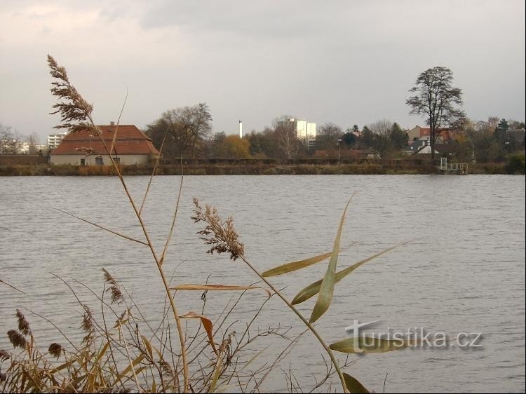 Widok na wschodni brzeg