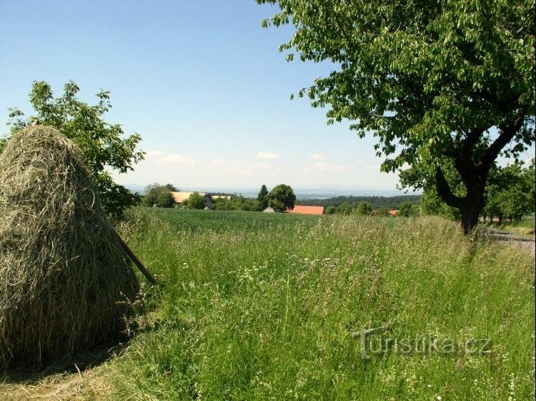 Blick auf Záhornica