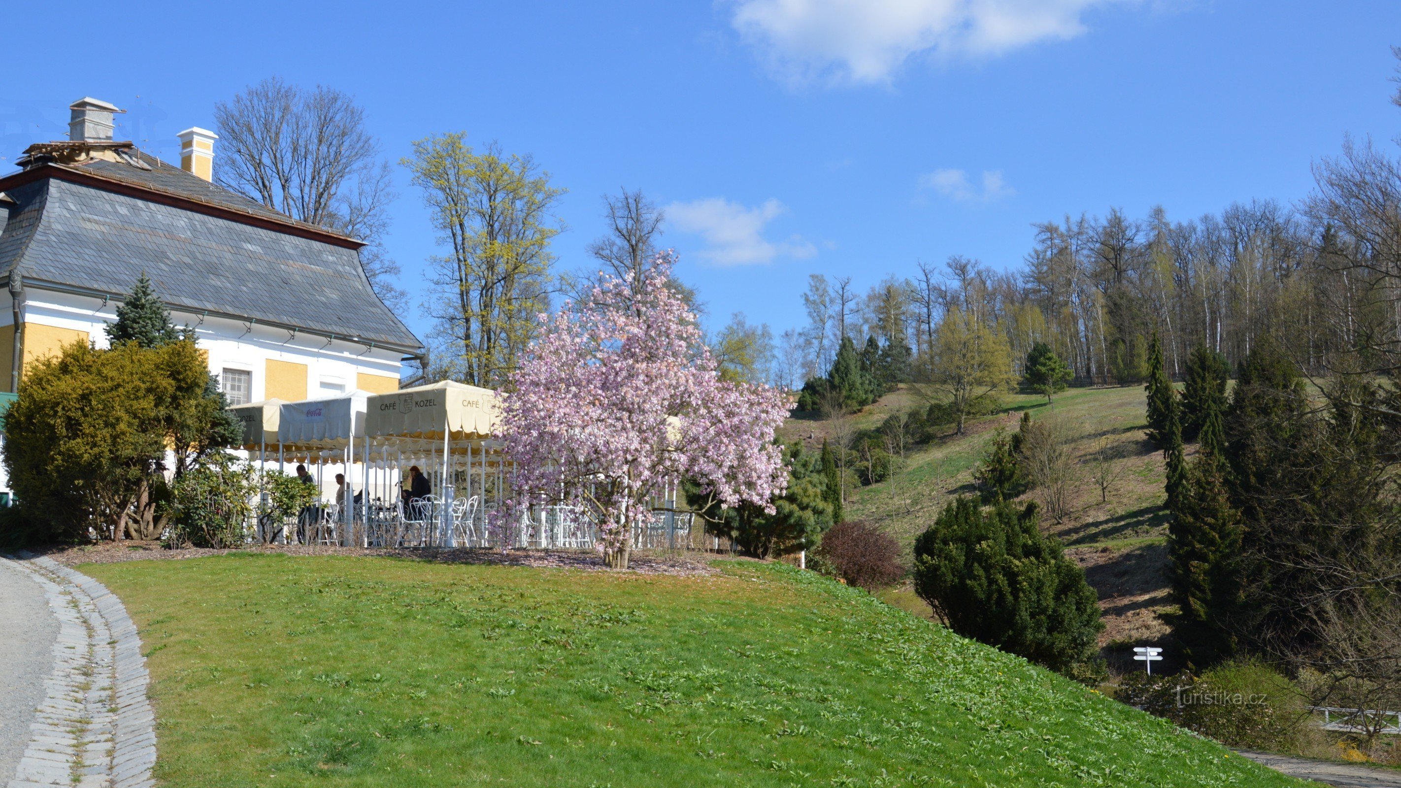 view of the castle