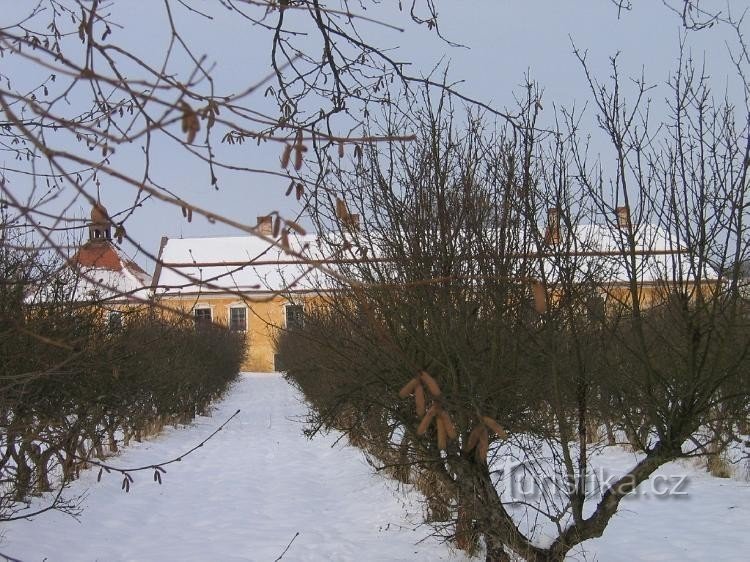 Вид на замок через современный фруктовый сад