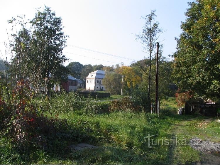 Blick auf die Burg von der Hauptstraße