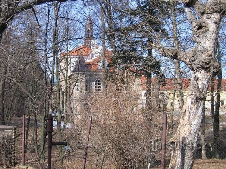 Utsikt över slottet från den kraftigt igenvuxna parken