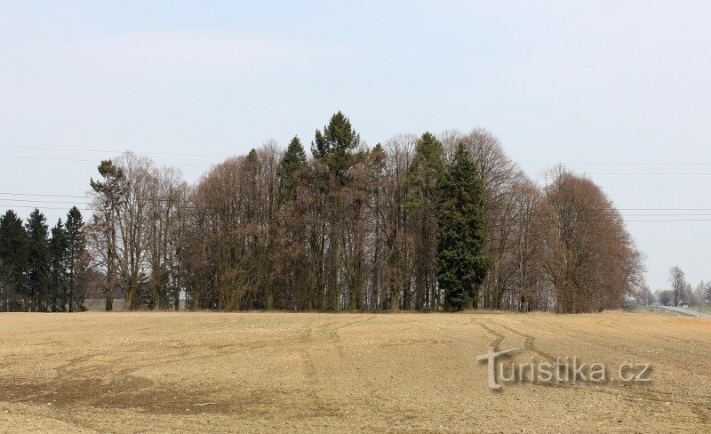 View of the Jewish cemetery from the south