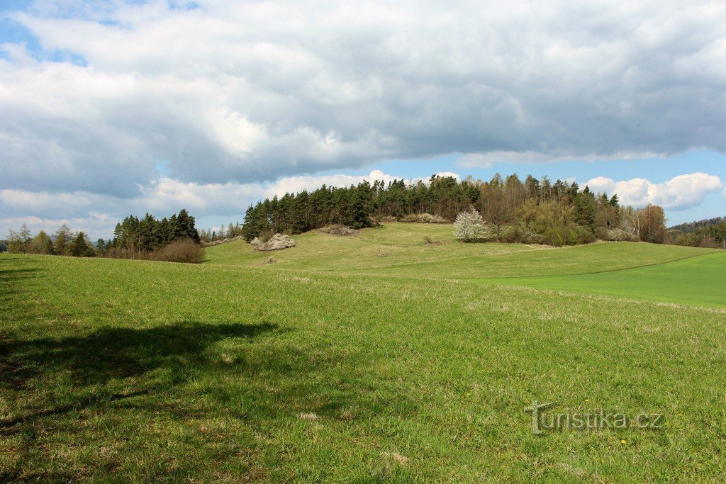 Vista de Zlatnice de SE