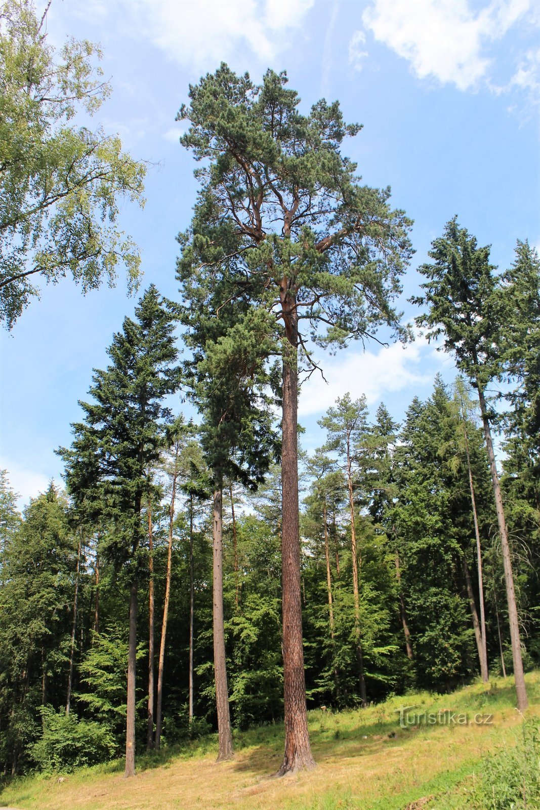 Blick von der Straße