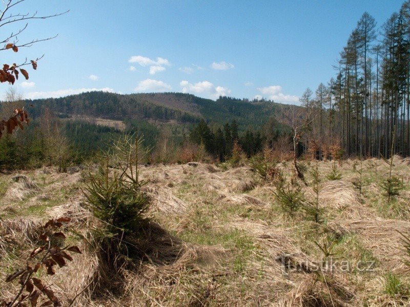 Vista dalla strada da Rohelská bouda