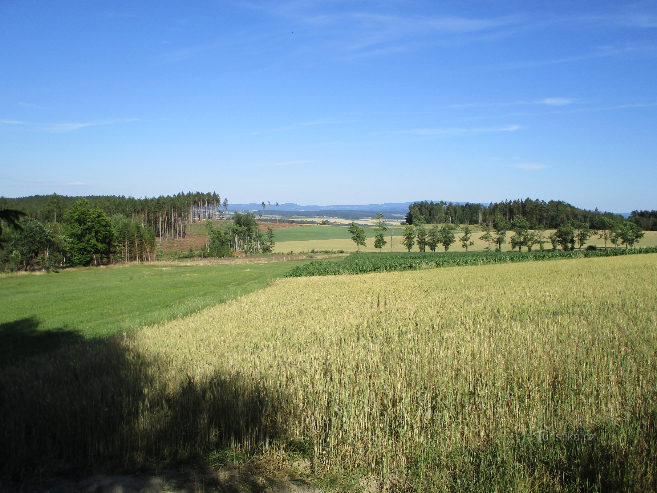 Blick von Čihadlo auf die Straße Křižanov-Libňatov