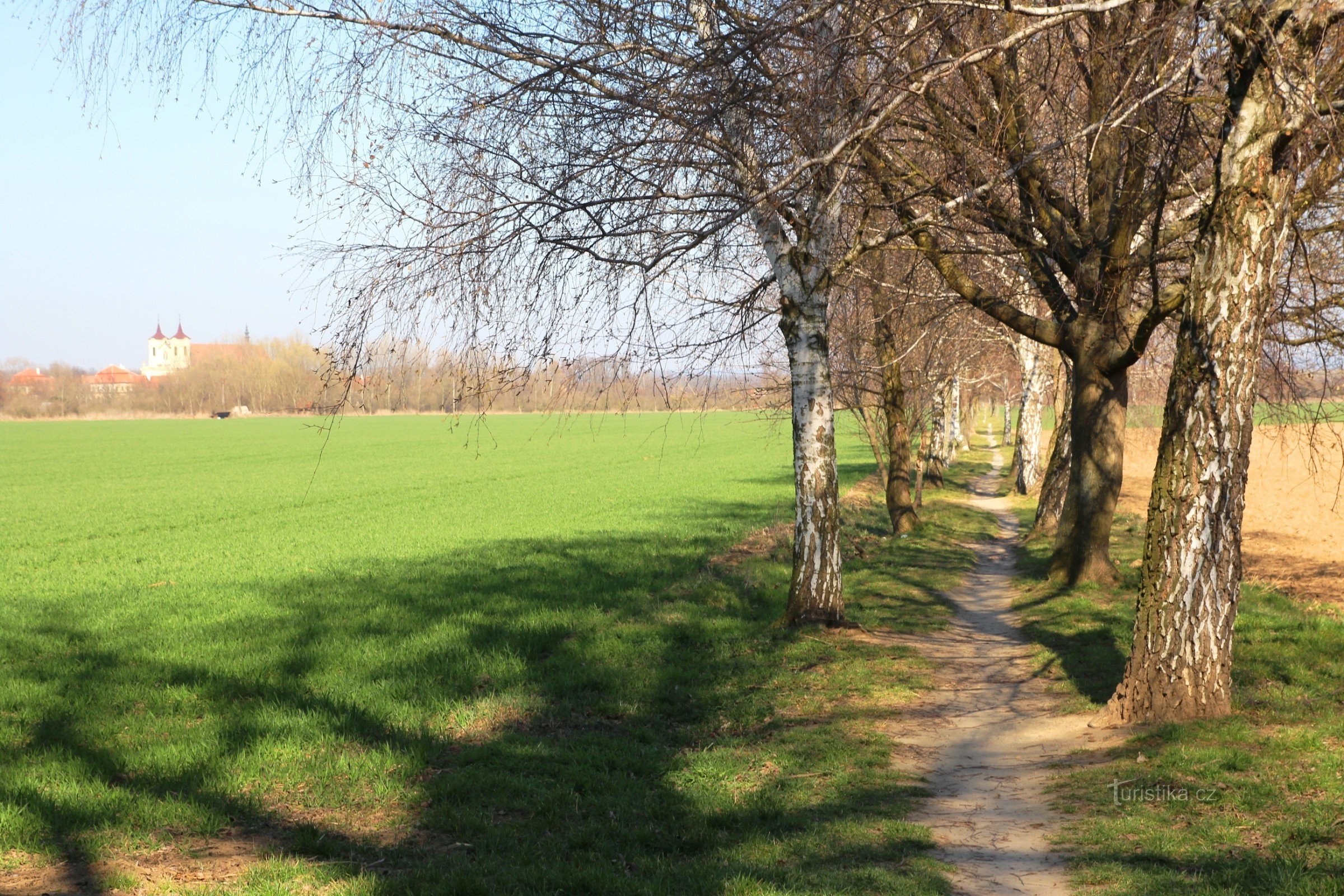 Widok z Trasy Holasickiej w kierunku klasztoru Rajhrad