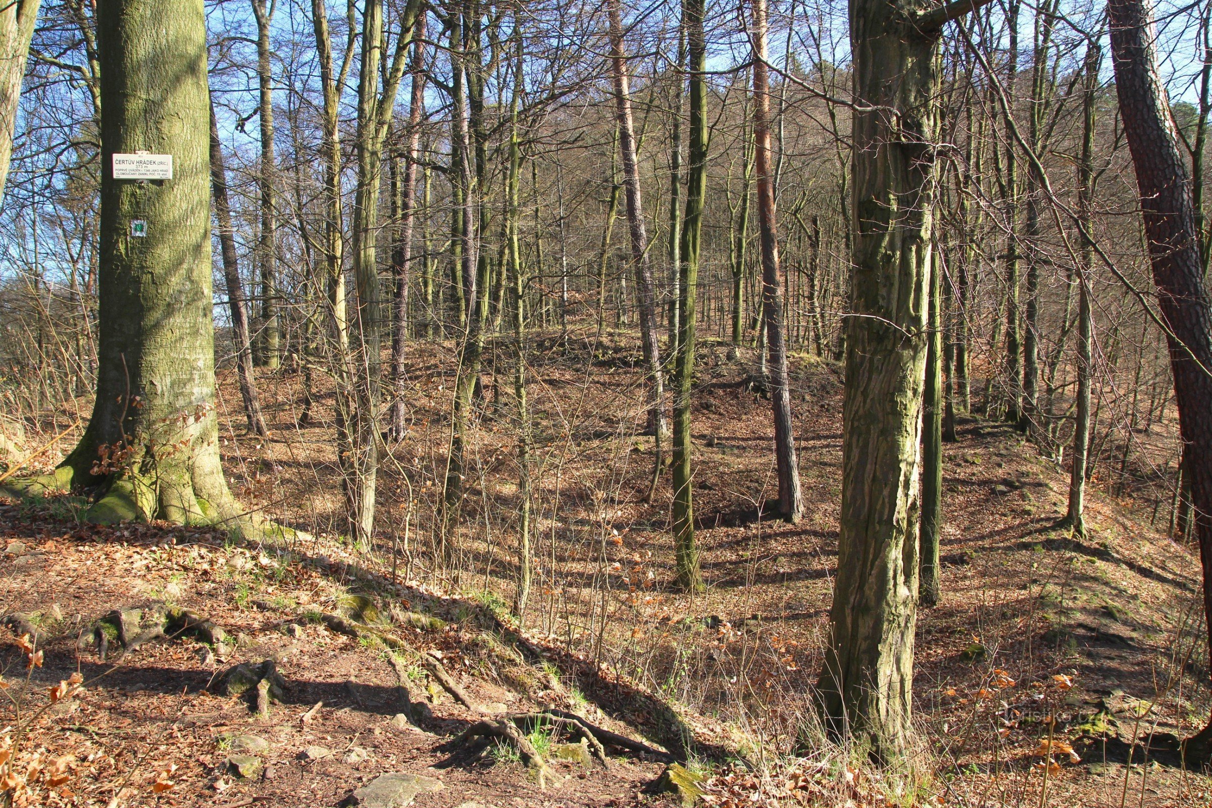 Blick vom Burgturm (höchster Punkt) Richtung Süden