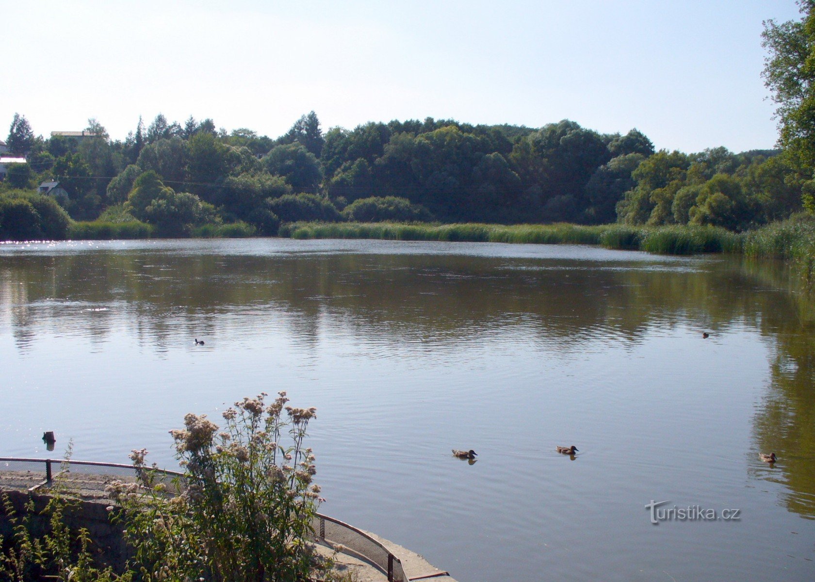 View from the dam