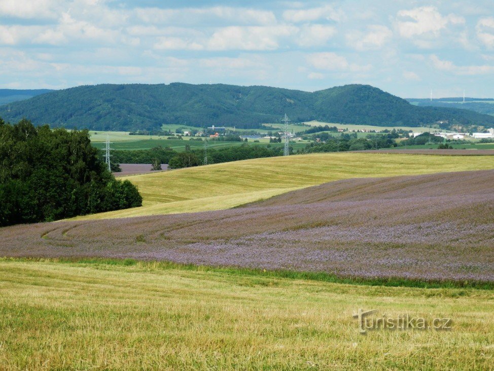 Hřebečské 尾根から Moravská Třebová までの眺め