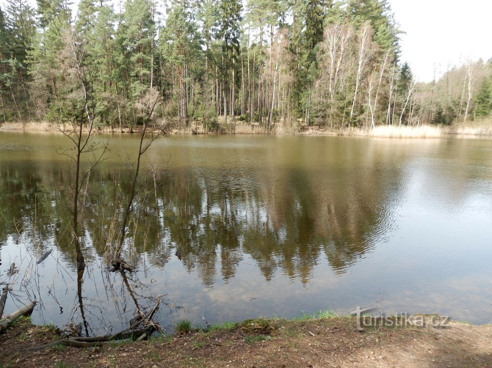 Widok z szopy na zachodni brzeg