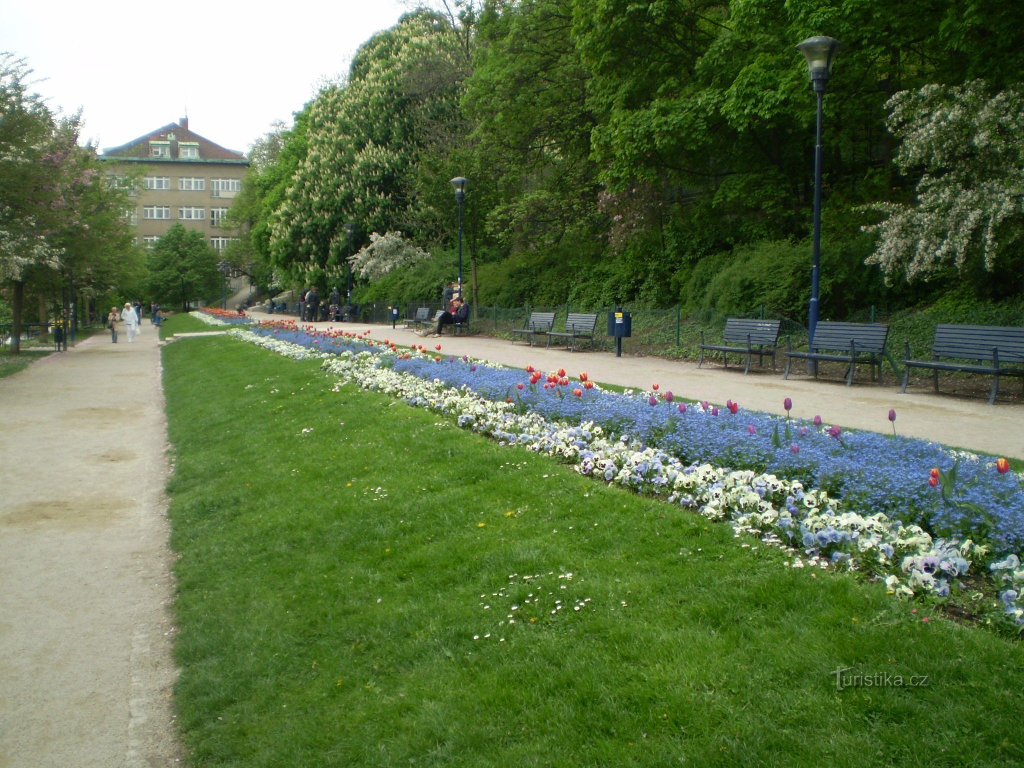 Widok z kolejki linowej