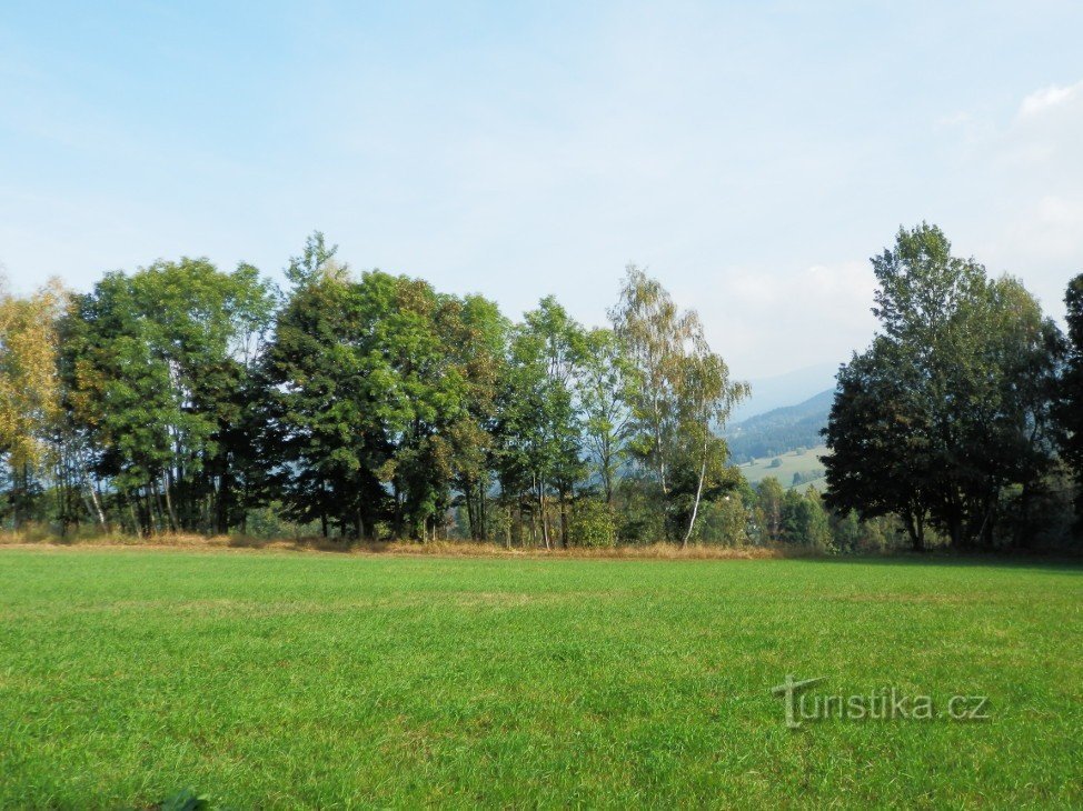 Vue depuis le banc sous le rocher, on ne voit pas grand chose d'ici