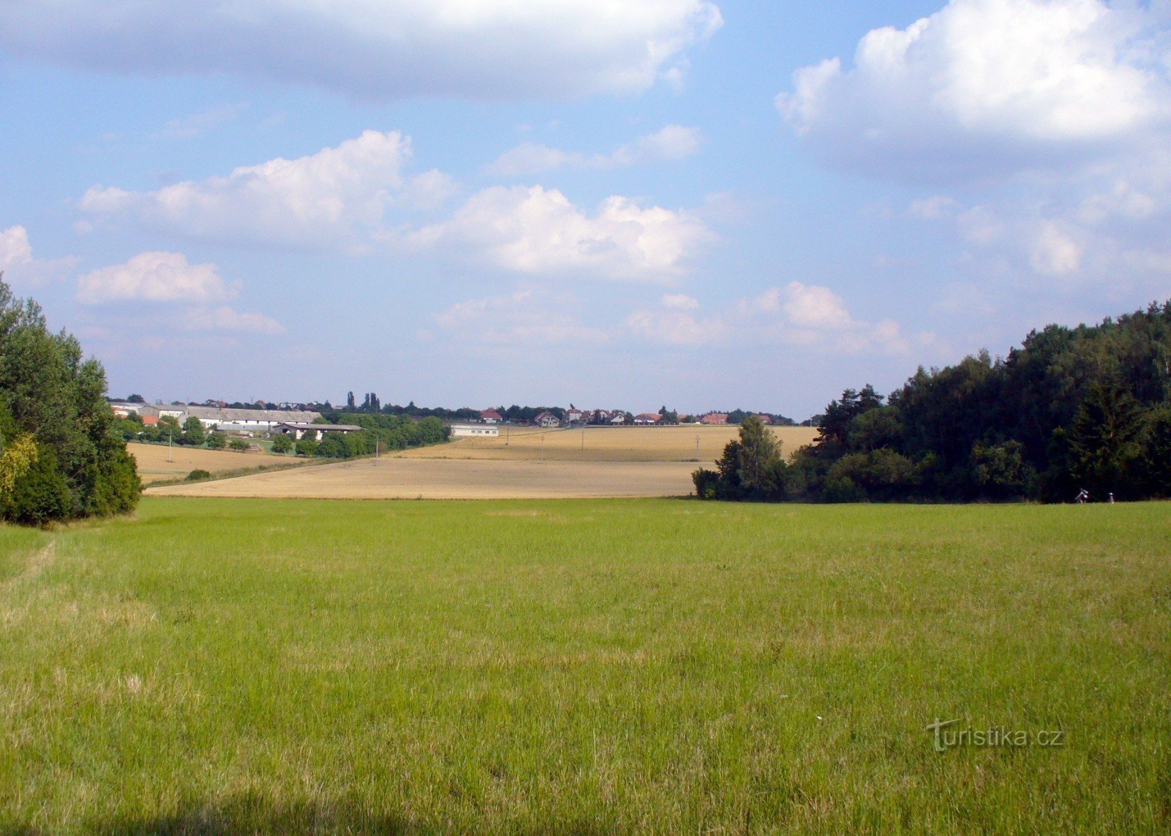 Blick vom Feld über dem Teich