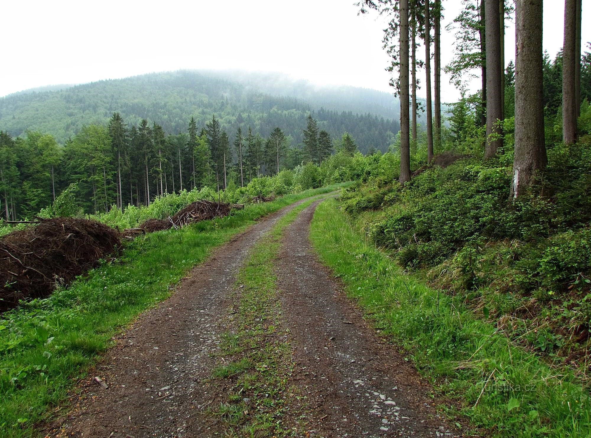 udsigt fra St. Hubert-monumentet til Trubisek-dalen