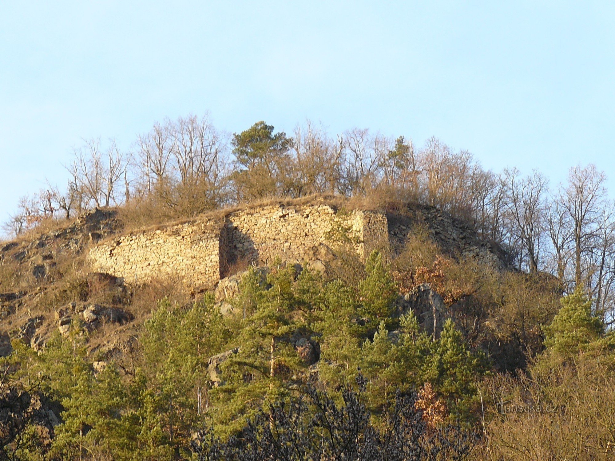 View from the river