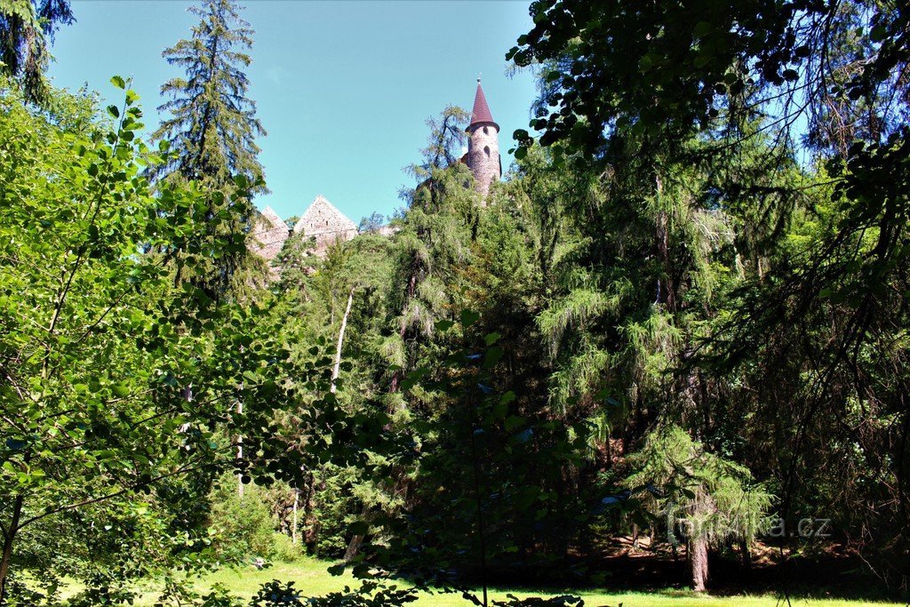 View from the river to Velhartice Castle