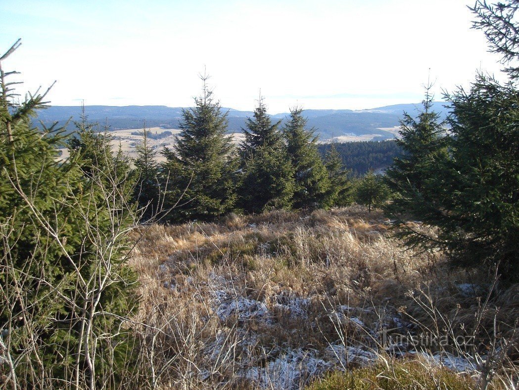 Pohled od rezervace na Góry Bystrzyckie