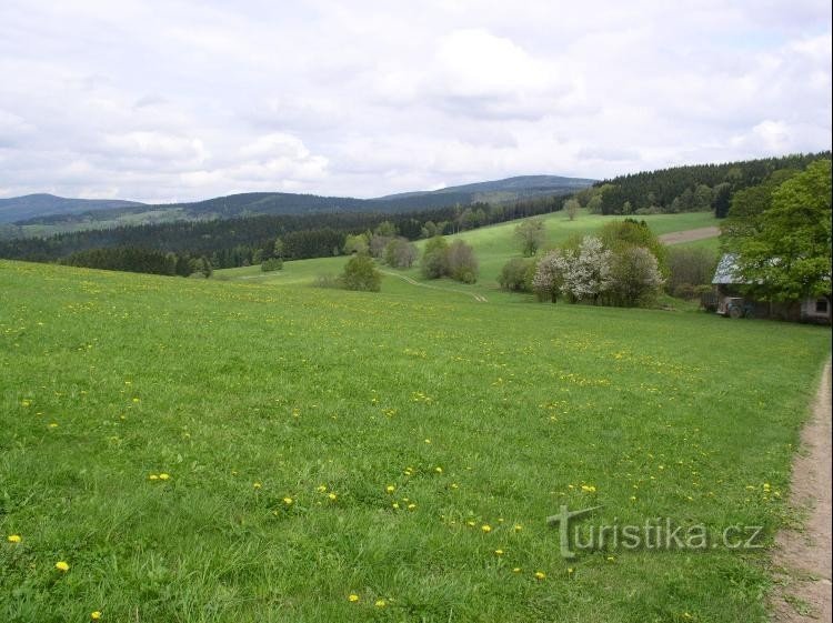 pogled s smerokaza Podolí (Prosovka) na pokrajino