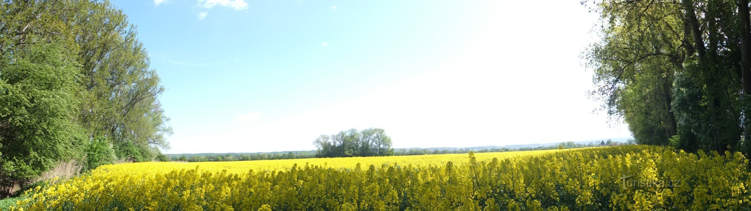 从池塘到 Vlačická Luka 的景色