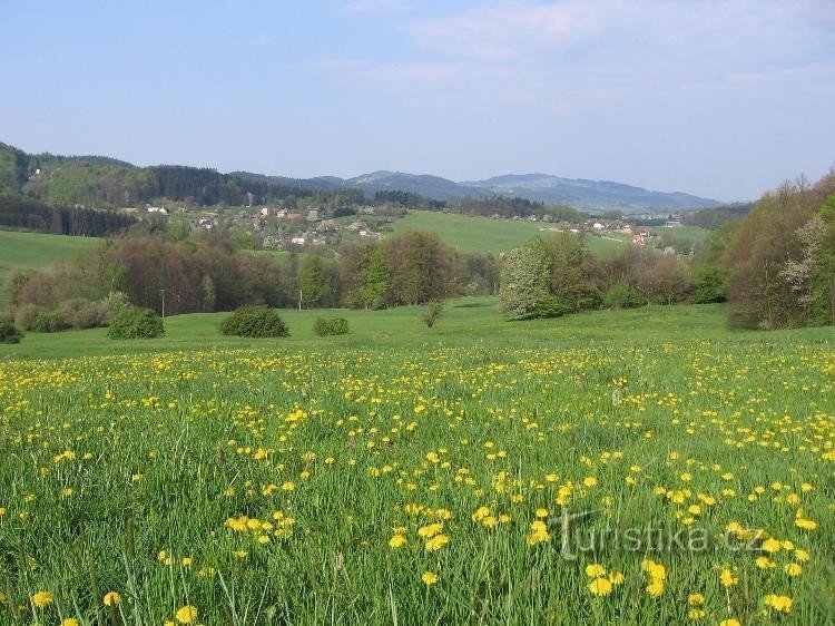 View from Rysová