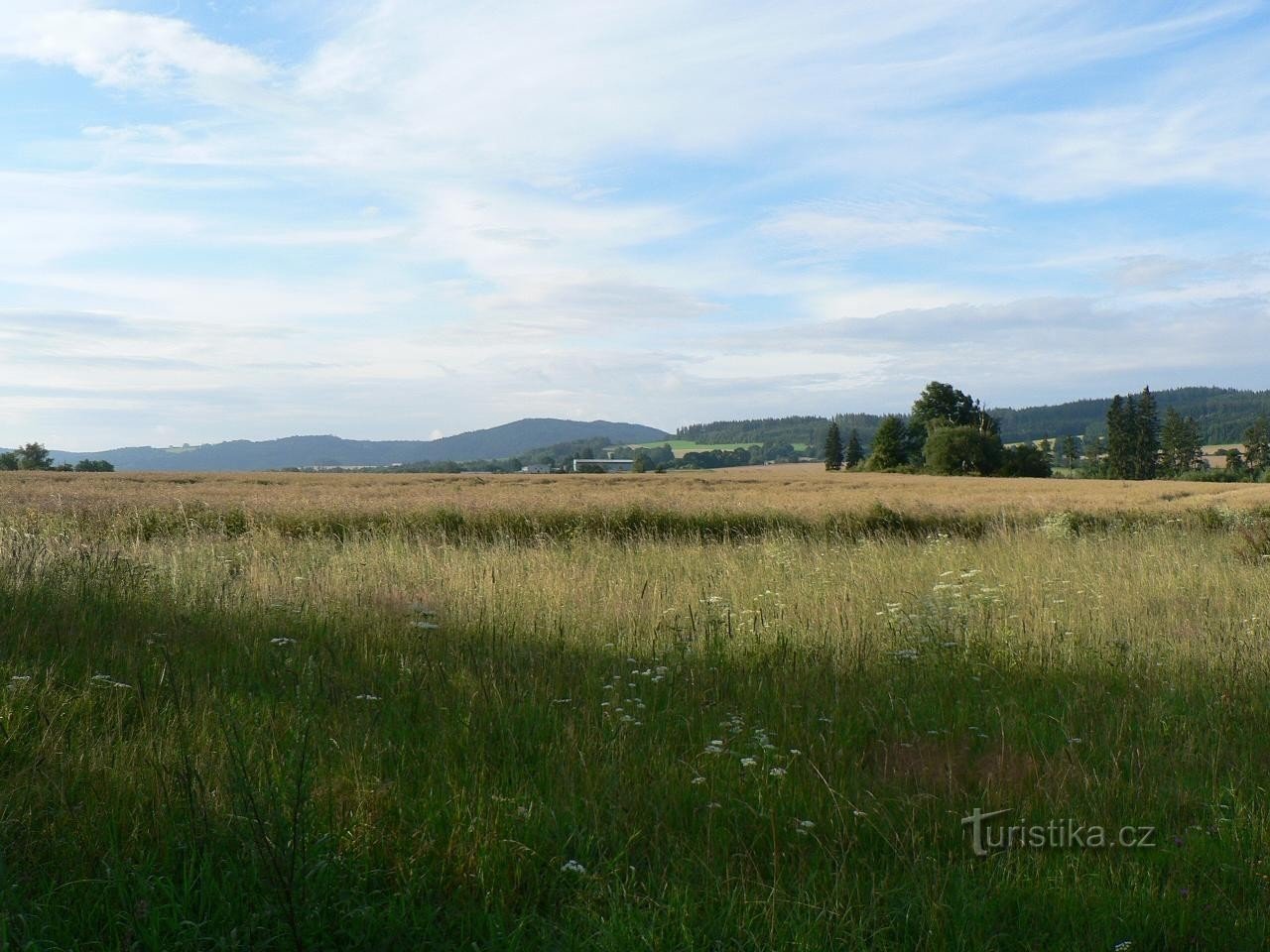 Widok ze Stříteža na Borek