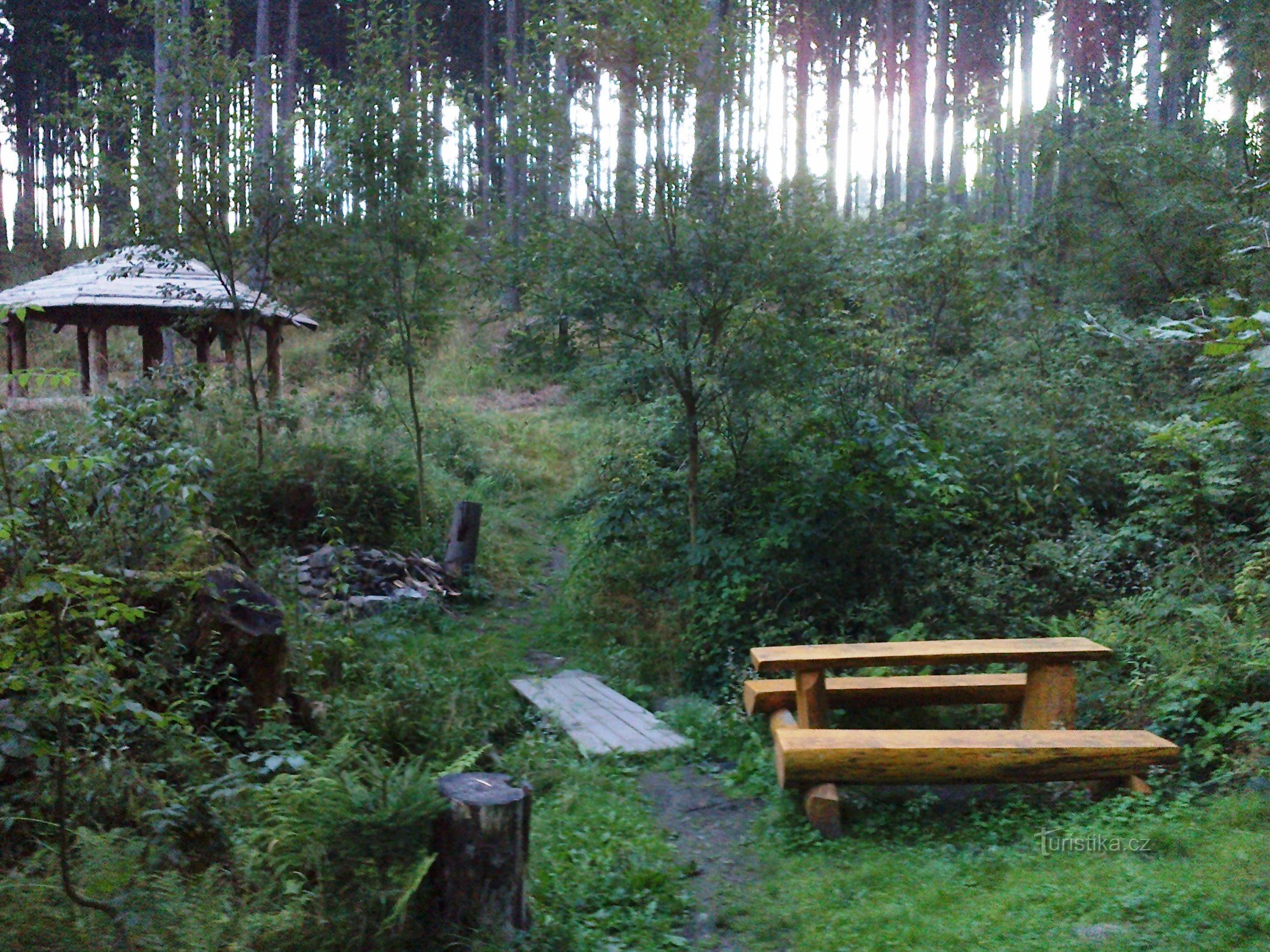 View from the well to the road