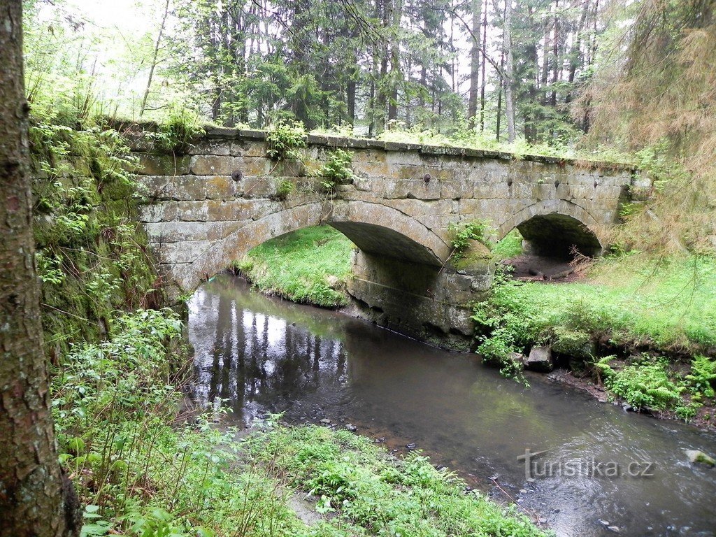 Widok z zachodu