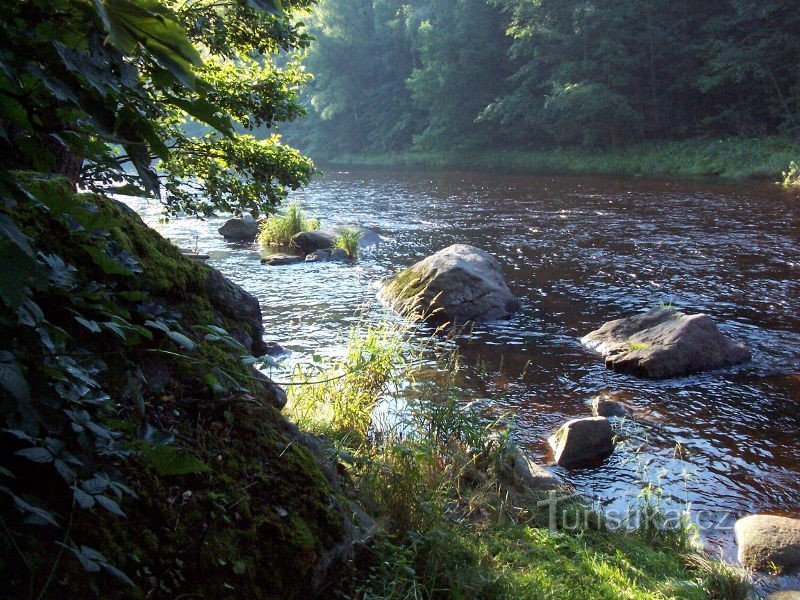 View downstream