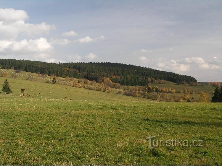 Pogled čez travnike proti vzhodu: Spomladanski travnik je zavzela živina. Območje je nedostopno