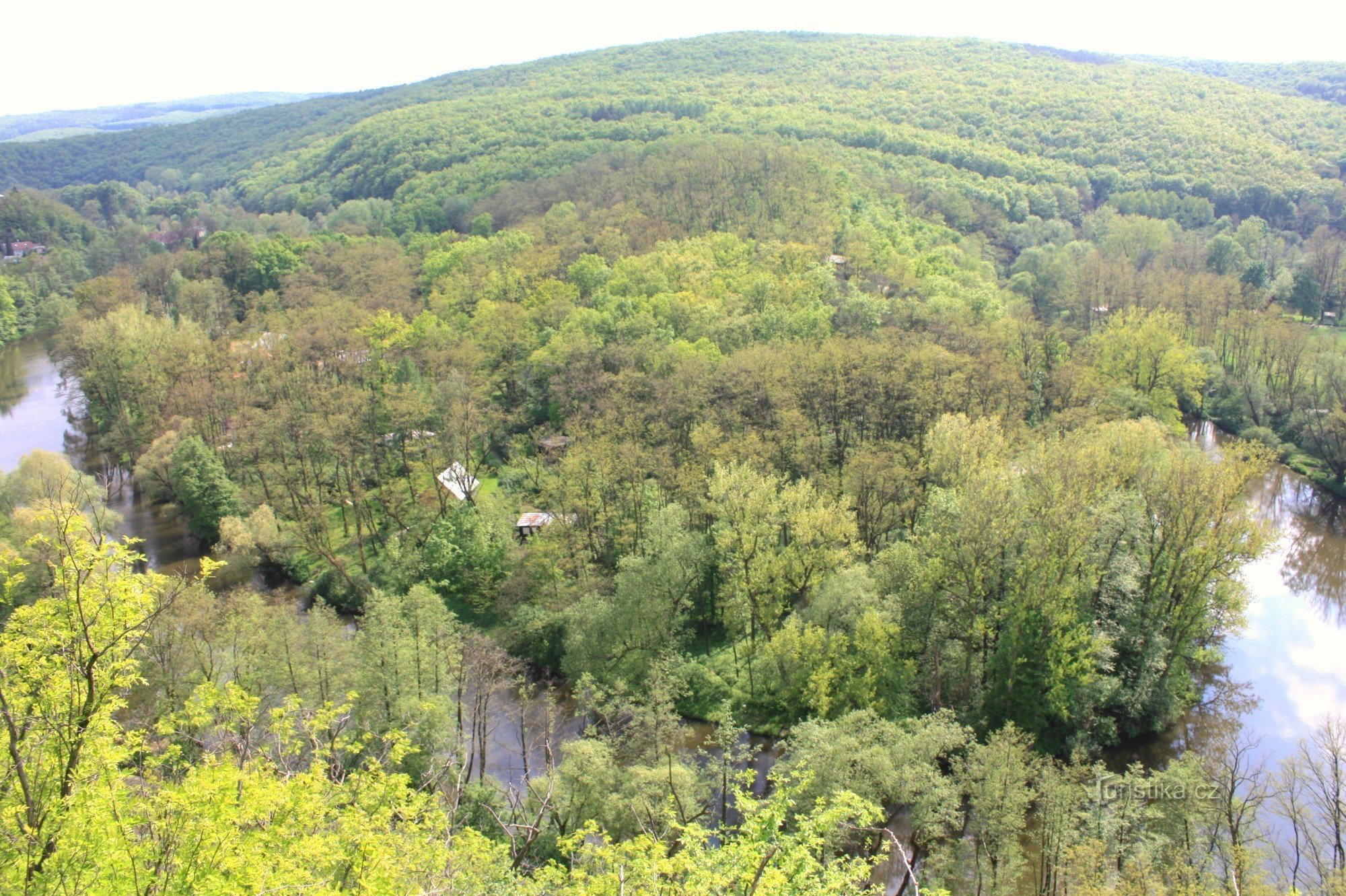 Vedere peste vale spre creasta împădurită a Rinului