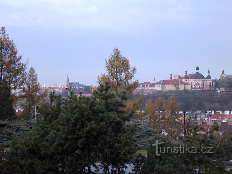 Vue sur la vallée depuis Nuslí