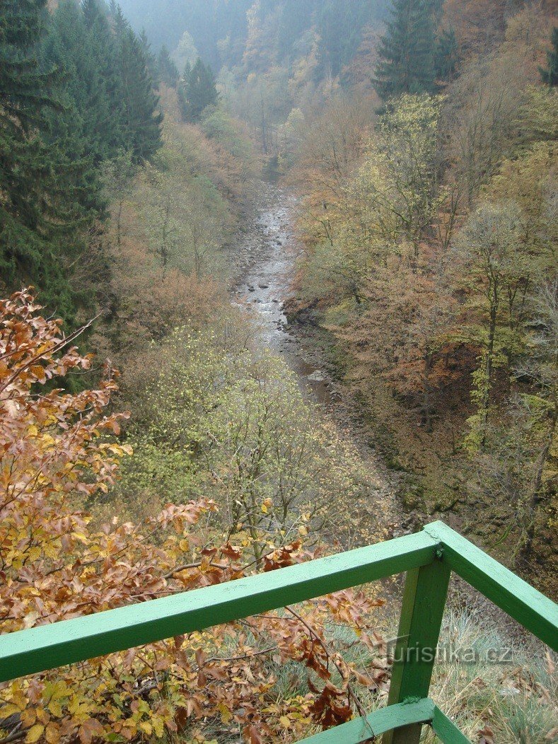 Ver río arriba del Jizera