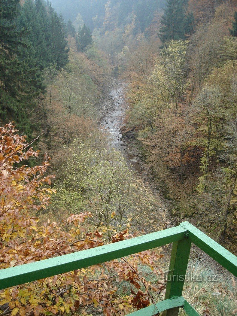 Vue en amont de la Jizera