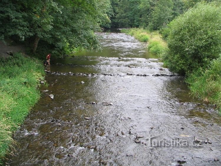 Pohled proti proudu Odry z mostu od Maria skály