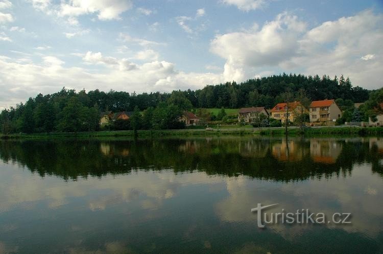 Vista in sezione Stagno secco