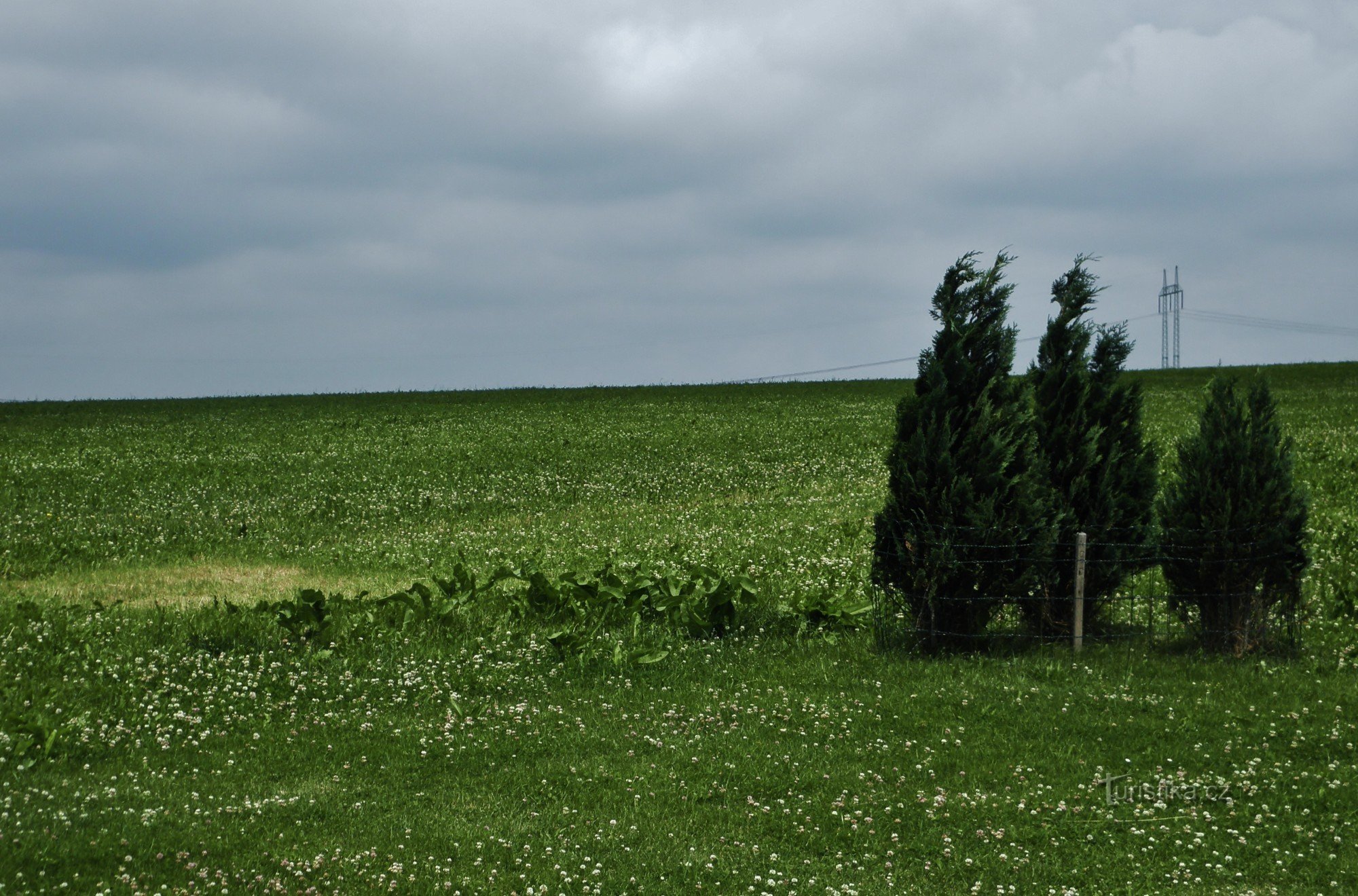 Widok w kierunku północnym od pomnika w geograficznym centrum Czech do vol