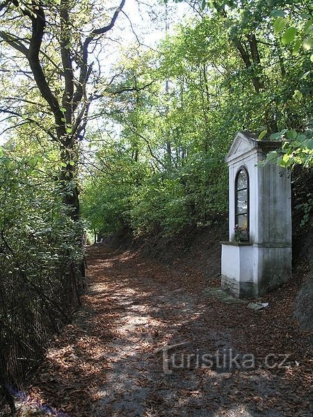 widok w kierunku kościoła