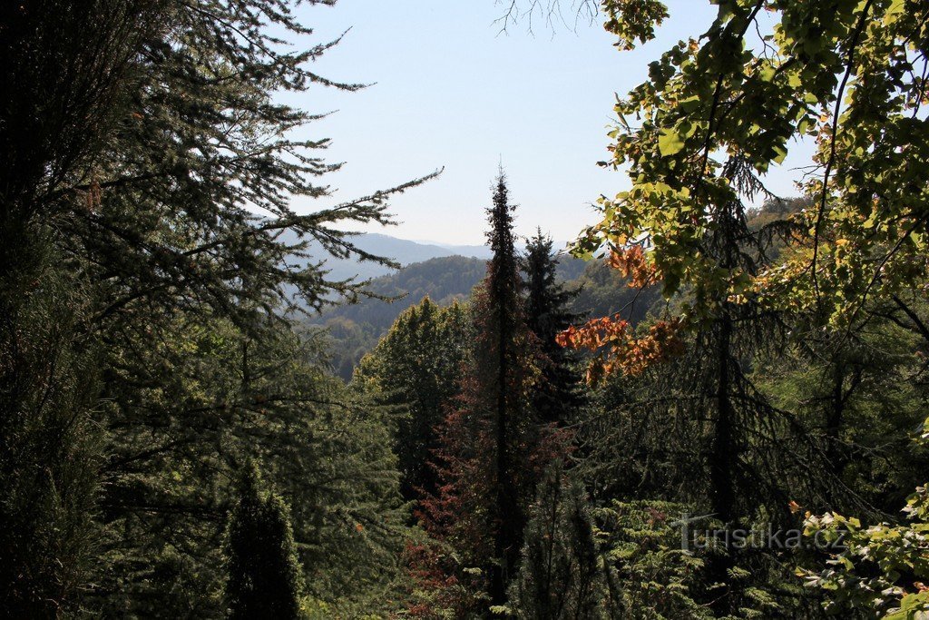 Widok z arboretum na południe