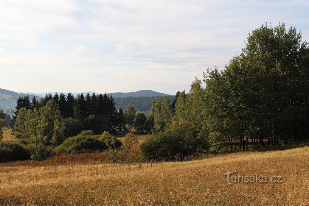 Blick vom Weg entlang des Grüns nach Süden