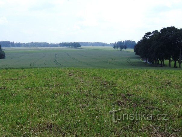 vista dalle posizioni imperiali verso il campo svedese