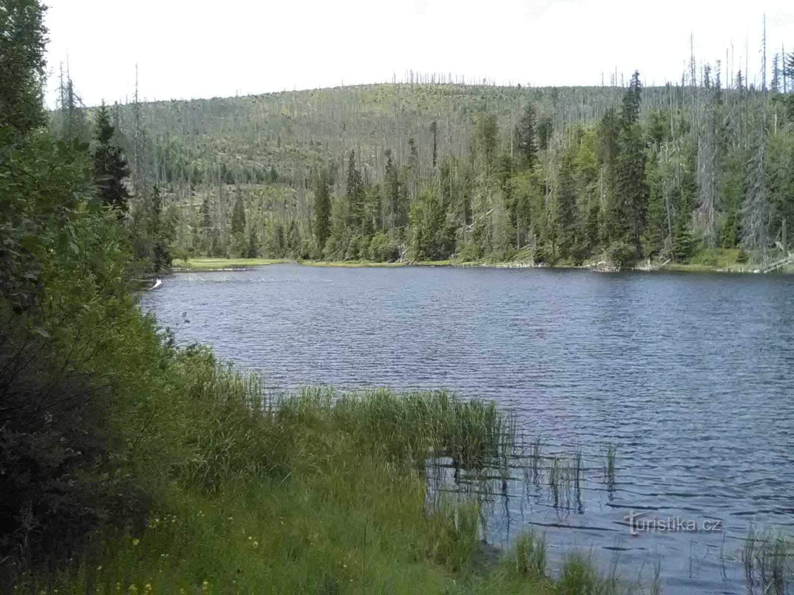 Näkymä järven toiselta puolelta