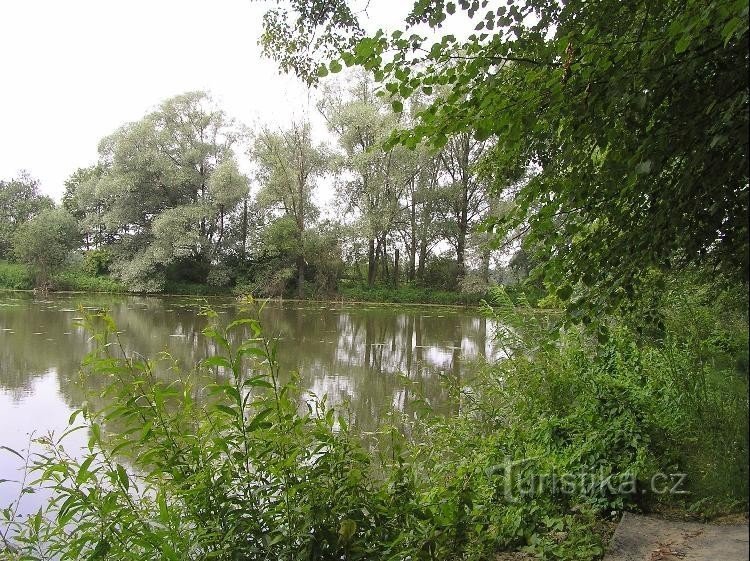 view from the dam