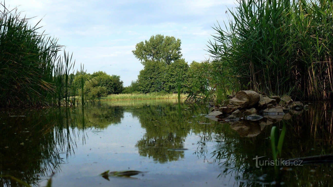 view from the dam