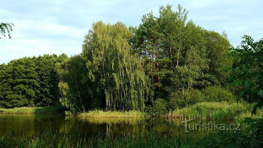 view from the dam