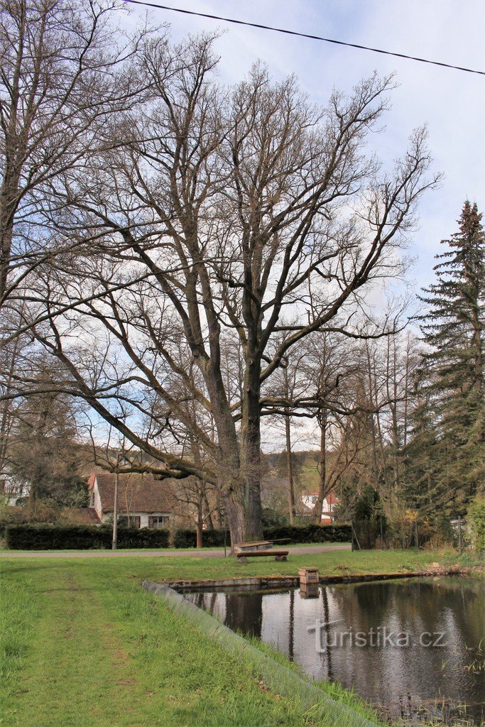 View from the dam