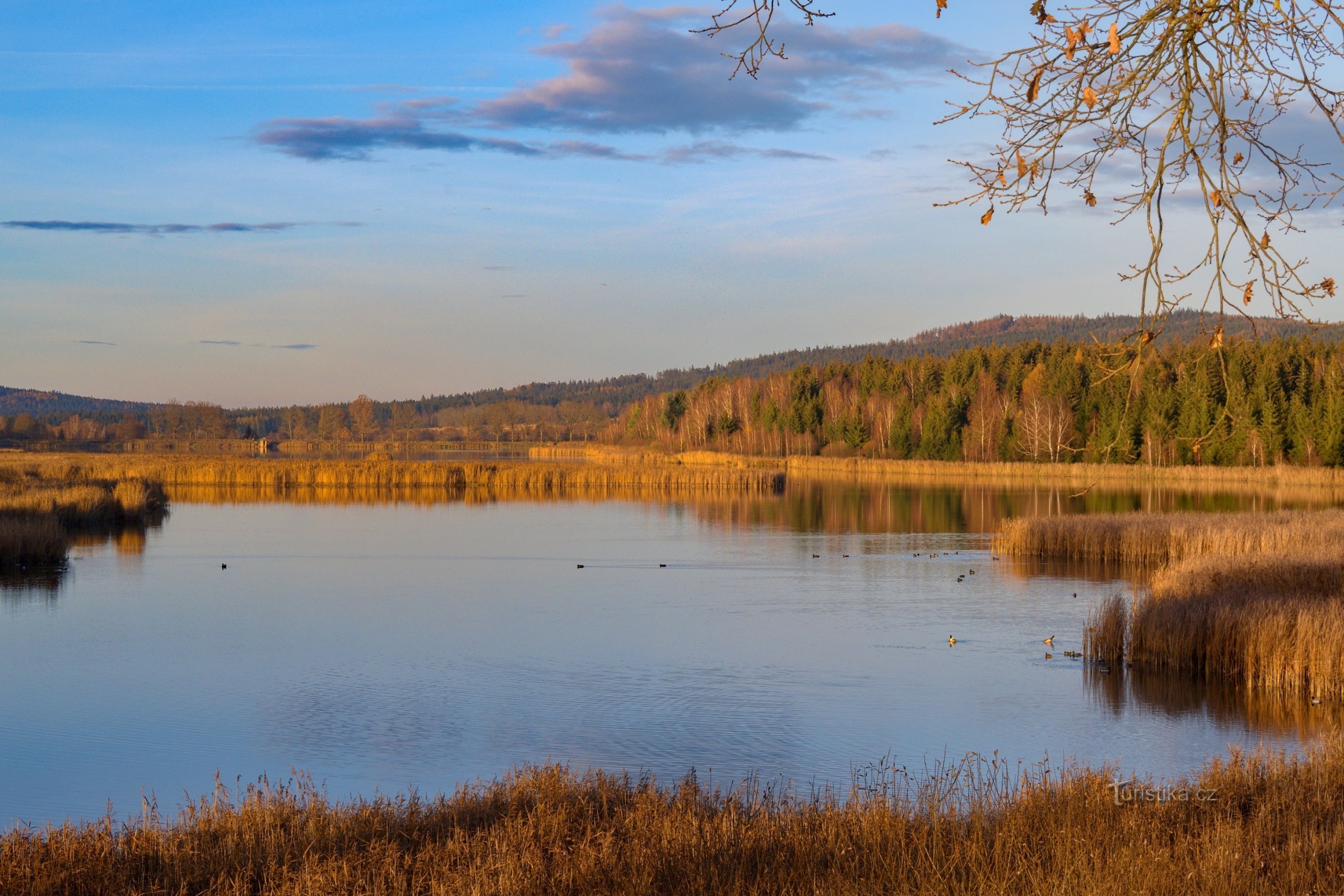 Vue depuis le barrage de l'étang Hořejší padrťský vers le Dolejší padrťský rybník.