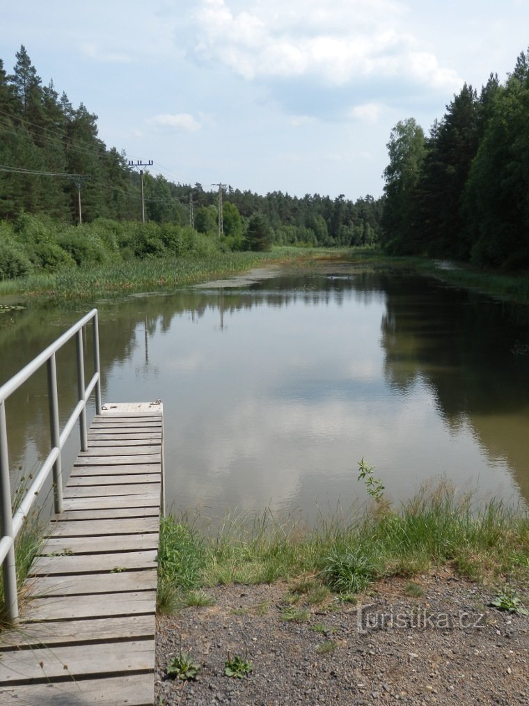 Blick von der Staumauer auf den Teich